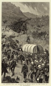 Transvaal